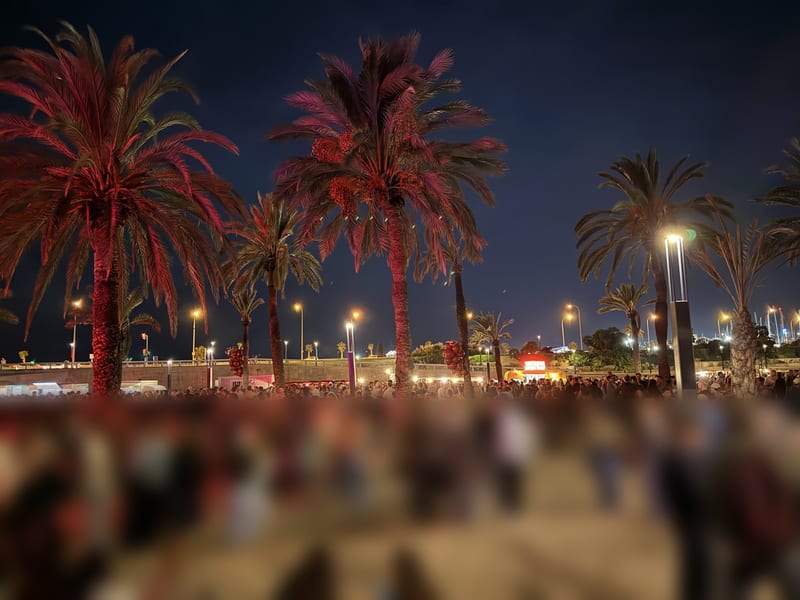 Rot beleuchtete Palmen über dem Festgelände am Parc de la Mar bei Nacht, im Vordergrund unscharf Besucher