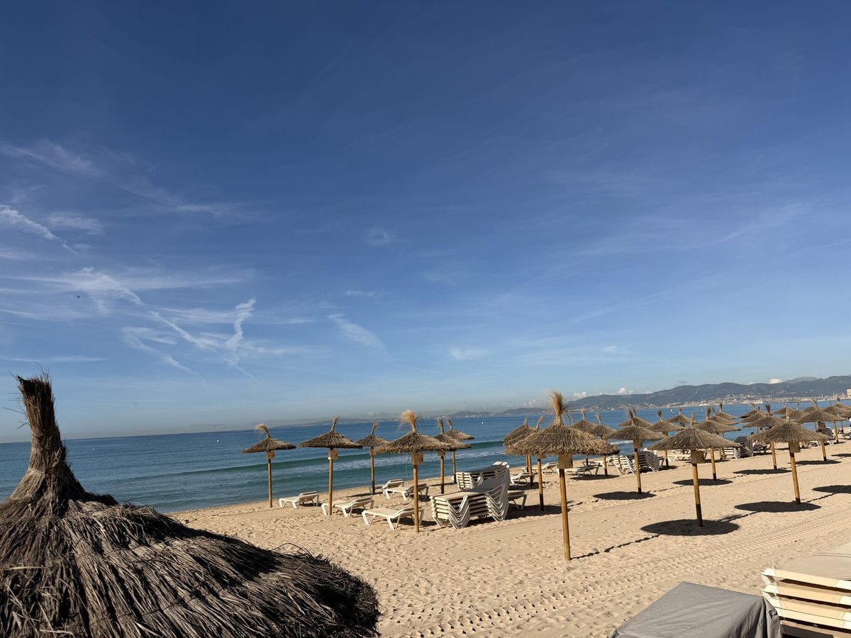 Zugeklappte Reetschirme und Liegestühle an der Playa de Palma, im Hintergrund die Bucht und die Skyline von Palma
