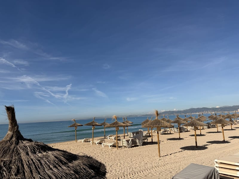 Zugeklappte Reetschirme und Liegestühle an der Playa de Palma, im Hintergrund die Bucht und die Skyline von Palma