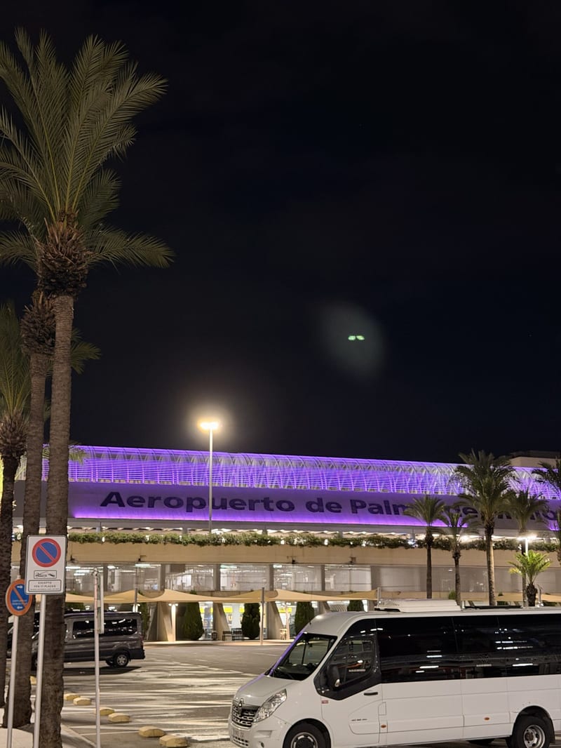 Terminal des Flughafens Palma de Mallorca bei Nacht, lila beleuchtet, mit Palmen und einem weißen Kleinbus im Vordergrund