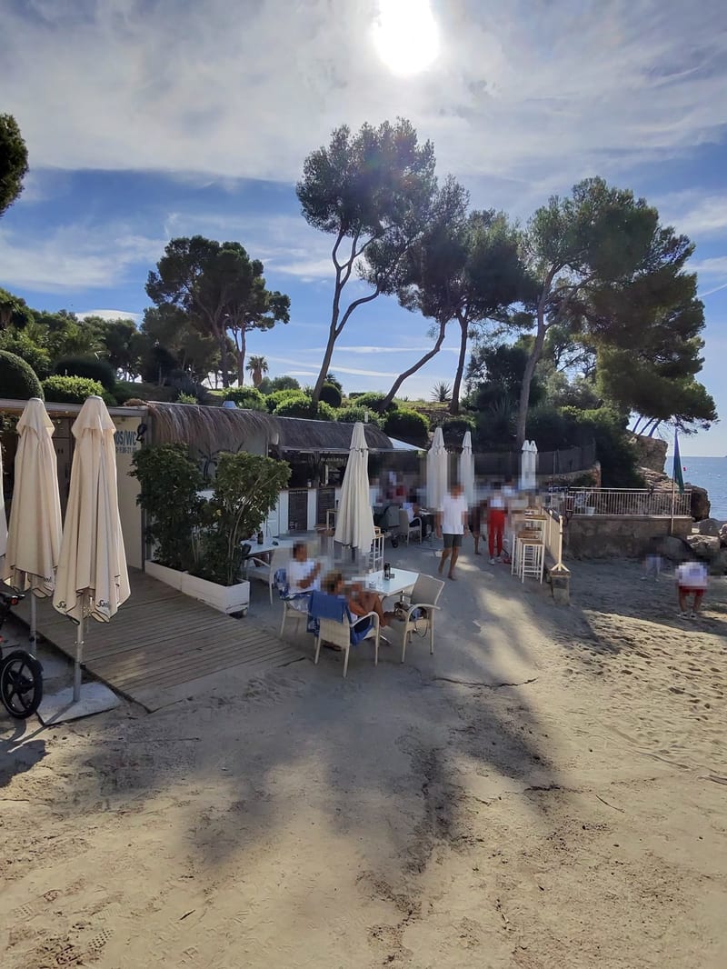 Terrasse von Freddy’s unter Pinien mit Blick aufs Meer in Bendinat