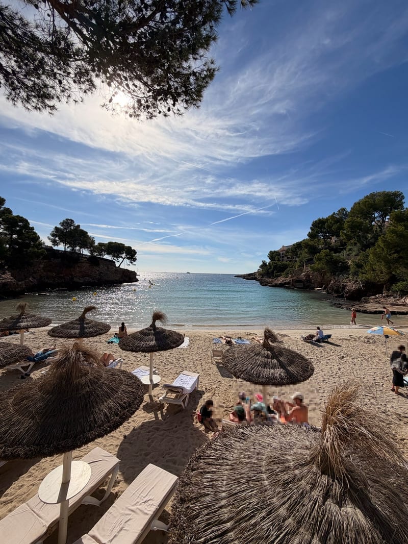 Kleine Bucht in Bendinat mit Reetschirmen und türkisem Wasser