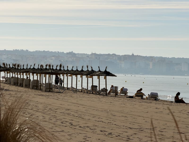 Reihe aus Reetschirmen und Liegen an der Playa de Palma mit Blick über die Bucht auf Palma