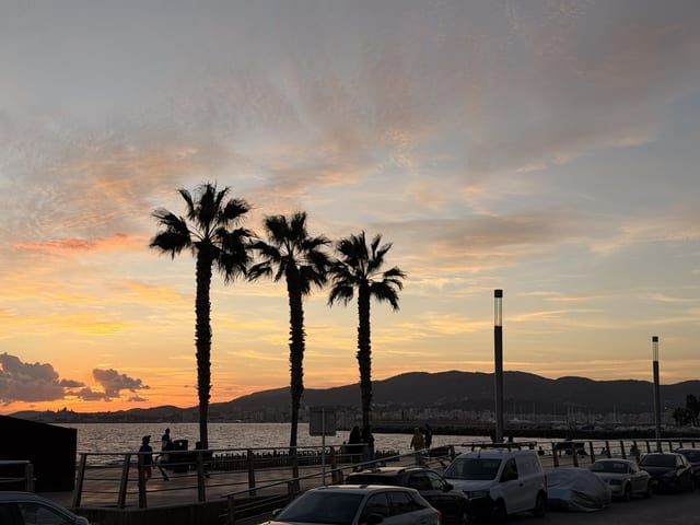 Drei Palmen im Gegenlicht vor der Bucht von Palma bei Sonnenuntergang, im Hintergrund Berge und ein Kreuzfahrtschiff, vorn die Promenade von Portixol