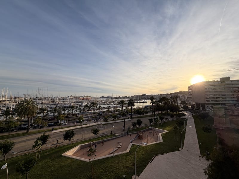 Abendlicht über dem Hafen von Palma mit Booten der Marina, im Vordergrund ein Spielplatz am Paseo Marítimo