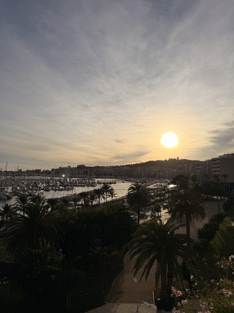 Sonnenuntergang über dem Hafen von Palma, Blick von Santa Catalina