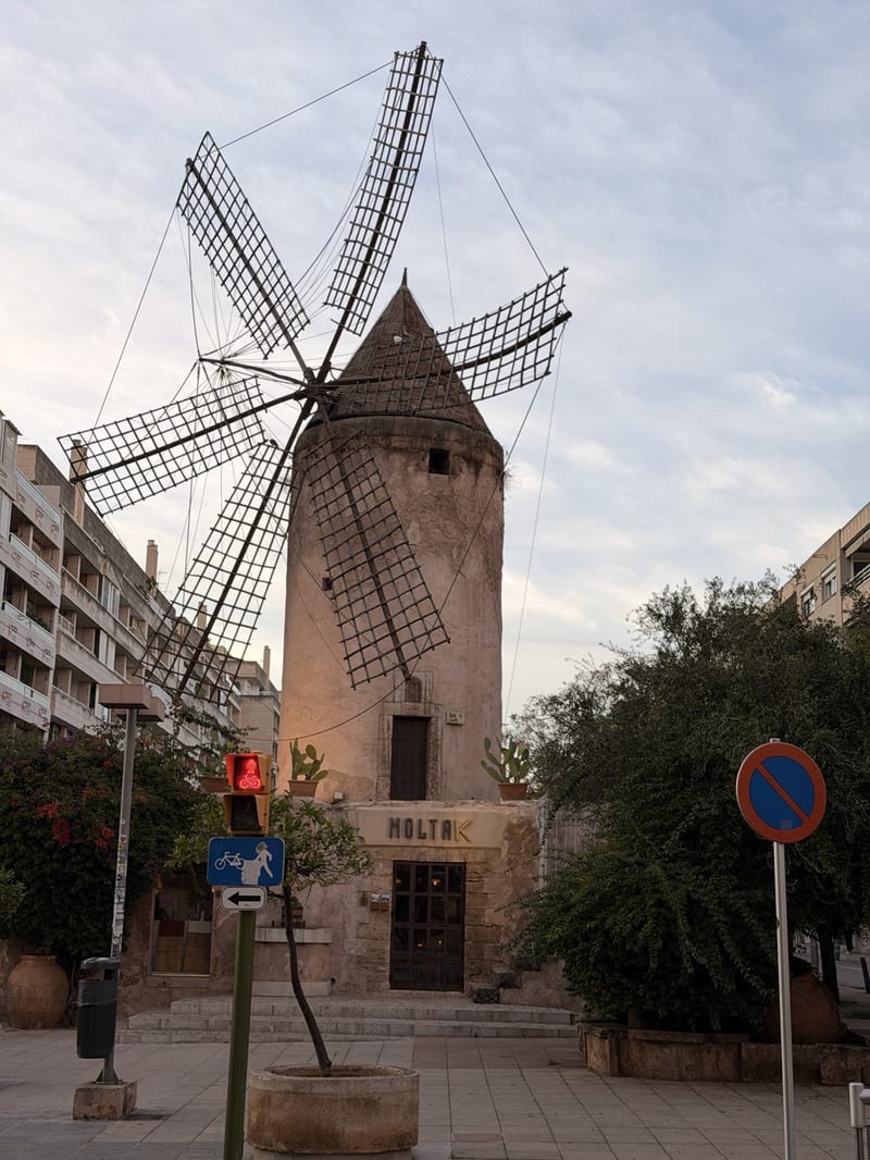 Alte Windmühle mit Flügeln zwischen Wohnhäusern in Santa Catalina