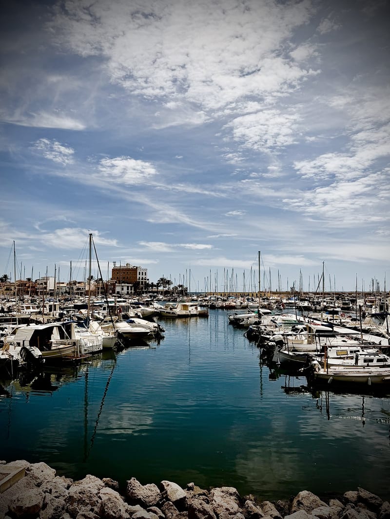 Sportboote und Fischerboote im Hafen von Portixol unter blauem Himmel, im Vordergrund Uferfelsen